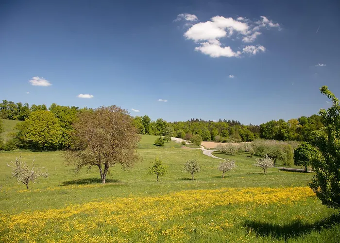 Lichterfunkeln * Daisendorf